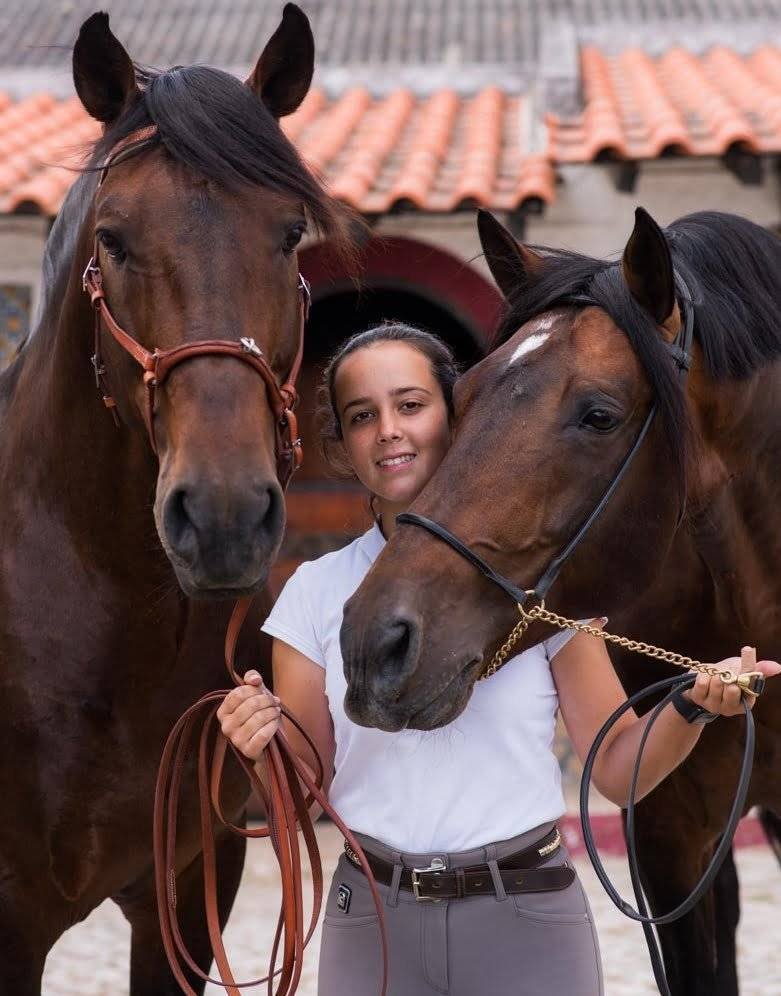 Lusitanos Horses in Portugal