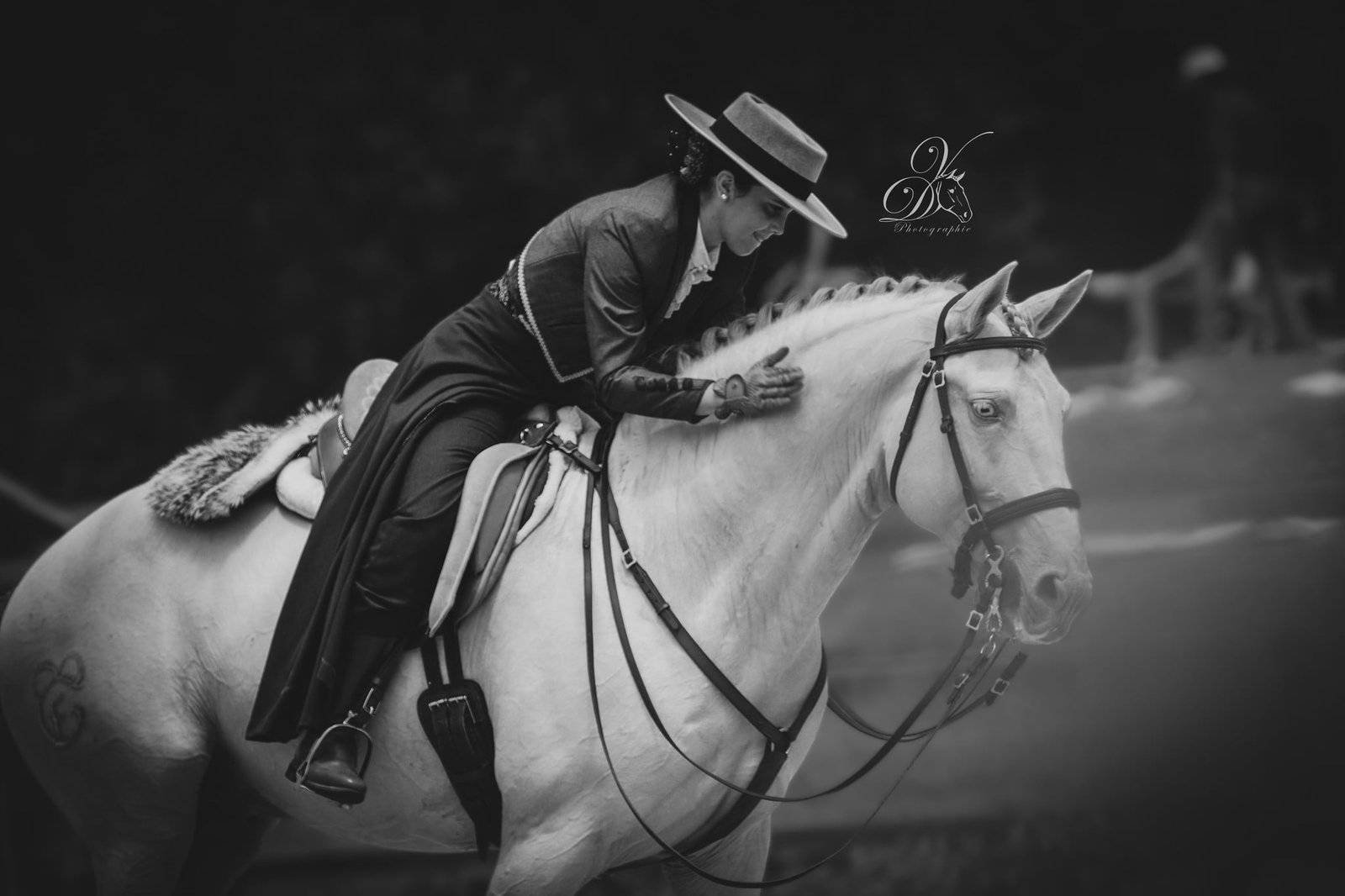 Lusitanos Academy Services